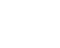 START NETWORK