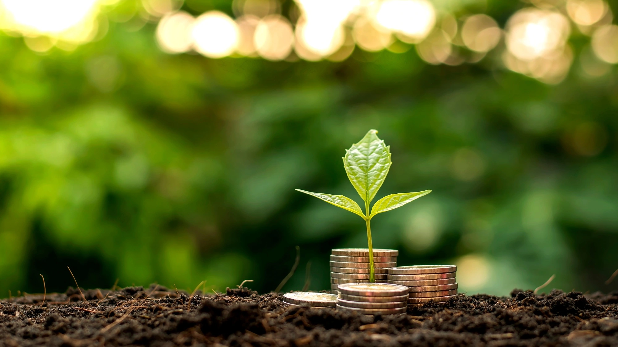 الصدقة: 15 فضيلة تمنحك سعادة الدنيا وأمان الآخرة