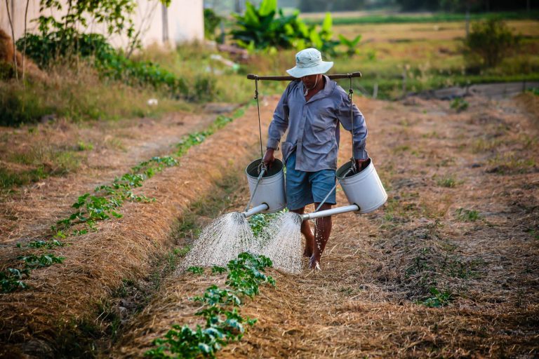 أزمة توفير المياه الصحية والمرافق النظيفة في الدول الفقيرة