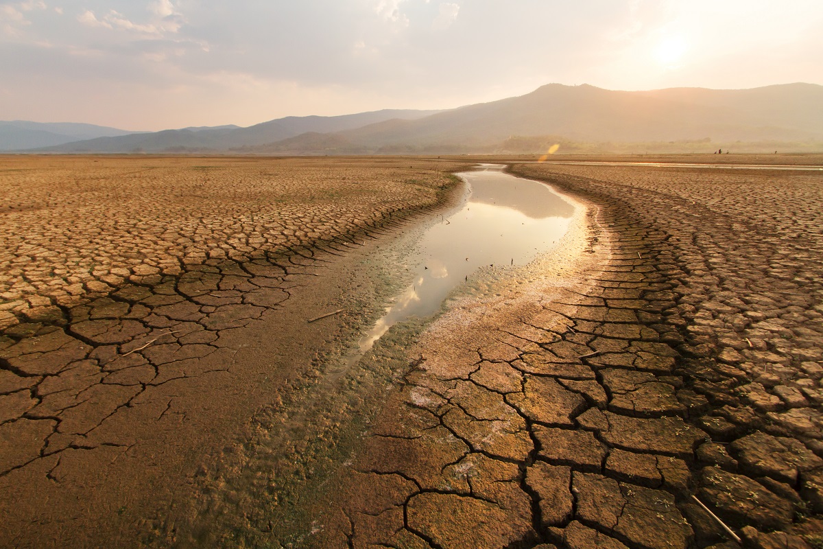 الجفاف في العالم: لم يعد هناك مكان في مأمن من مخاطره المتزايدة