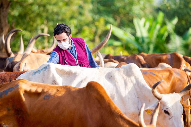 تعرف على كيفية شراء أضحية العيد للفقير وتوزيعها بالطريقة الصحيحة لتعزز من قيم التكافل والتراحم وتدخل الفرحة على قلوب المحتاجين.