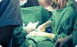 Health Project Image